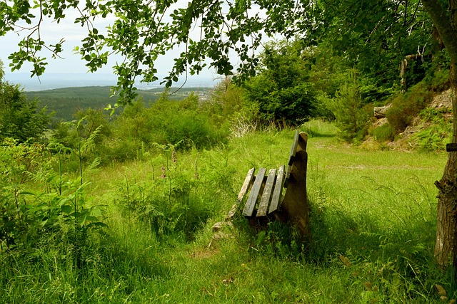成功经验来 成功经验来