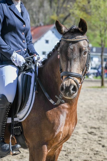 个人的奋斗 个人的奋斗