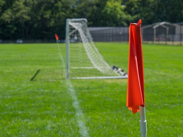 胜利所展示 胜利所展示