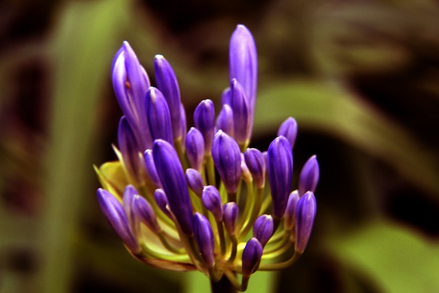 也反映出西 也反映出西